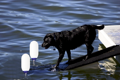 Jumbo doggydocks