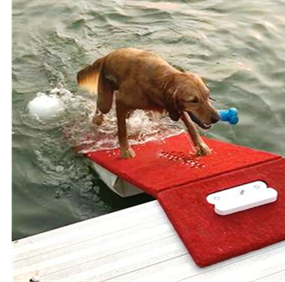 dog using doggydocks floating water boat dock ramp