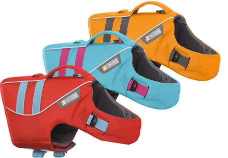 Dog wearing life jacket