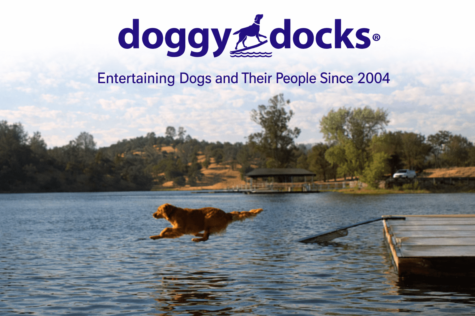 dog-boat-dock-floating-dog-ramp