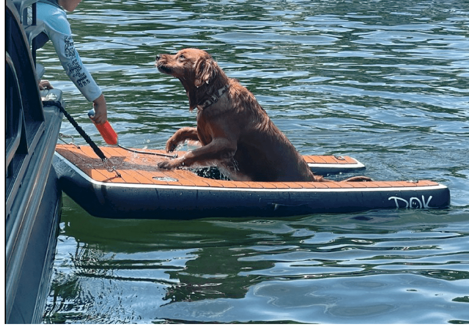 inflatable-not-easy-for-dogs-to-climb