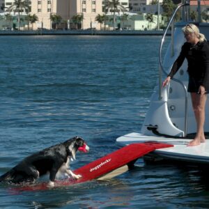 doggydocks-water-ramp-for-dogs-on-a-yacht.jpg
